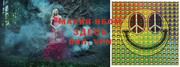 индика Волосово