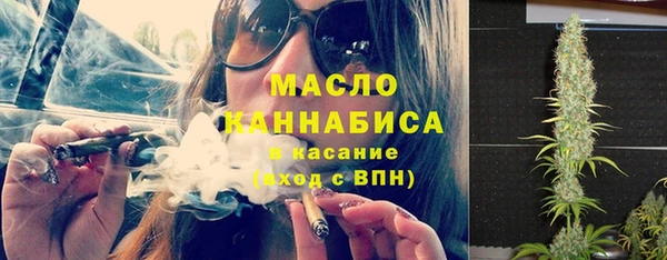 дмт Вяземский