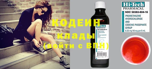 дмт Вяземский