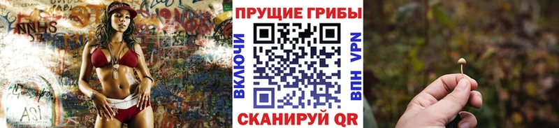 Галлюциногенные грибы ЛСД  мега   Избербаш  сколько стоит 